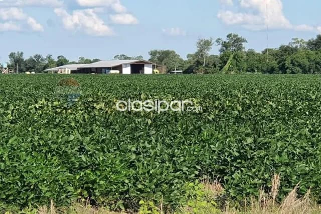 Urgente estancia productiva 20.057 hectareas-agua dulce-bahia negra-alto paraguay, foto 4