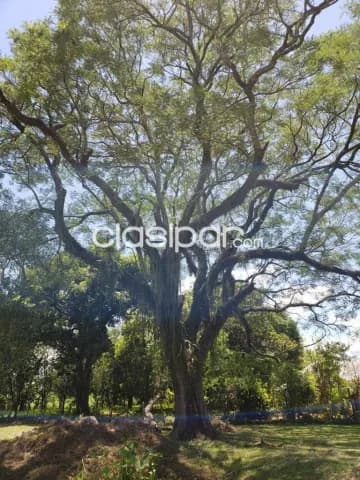 Terreno en venta paraguari de 2400 m2, foto 3