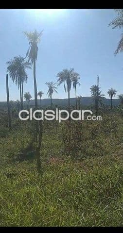 propiedad en Piribebuy de 15 hectareas, foto 1