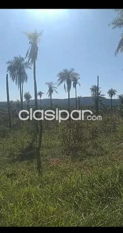 propiedad en Piribebuy de 15 hectareas, foto 2