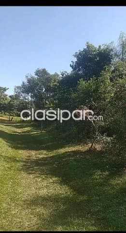 propiedad en Piribebuy de 15 hectareas, foto 3