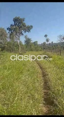 propiedad en Piribebuy de 15 hectareas, foto 4
