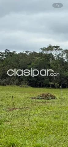 Terreno de 10 há en santa elena - cordillera, a orillas del arroyo yhaguy, foto 4