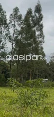 Terreno de 10 há en santa elena - cordillera, a orillas del arroyo yhaguy, foto 5