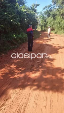 Tobati, eusebio ayala, prox. Asfalto: Ideal p/ granja, criaderos, gallinería, agricultura — foto 4