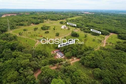 Terreno en Venta en Central Ypacaraí, foto 4