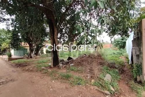 Terreno en Venta en Central Luque — foto 3