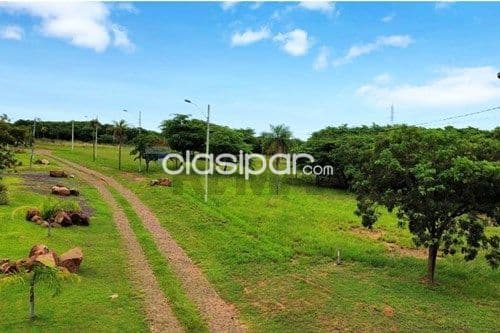 Terreno en Venta en Central Ypacaraí