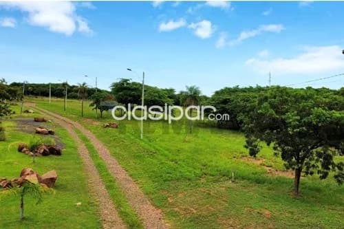 Terreno en Venta en Central Ypacaraí — foto 2