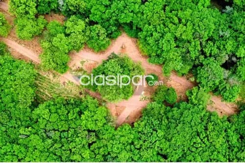 Terreno en Venta en Central Ypacaraí — foto 3