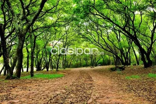 Terreno en Venta en Central Ypacaraí — foto 4
