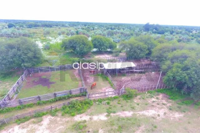 En Venta - Estancia/Campo -Campo Aceval, Presidente Hayes, Paraguay — foto 5