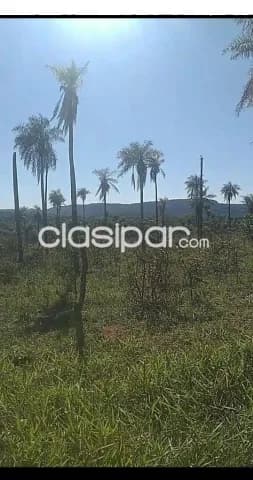 fabulosa propiedad en Piribebuy, foto 4
