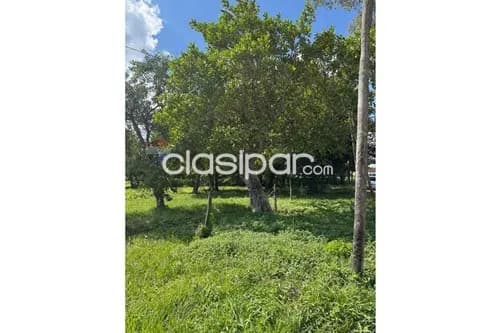 Terreno en Venta en Central Ypané, foto 5