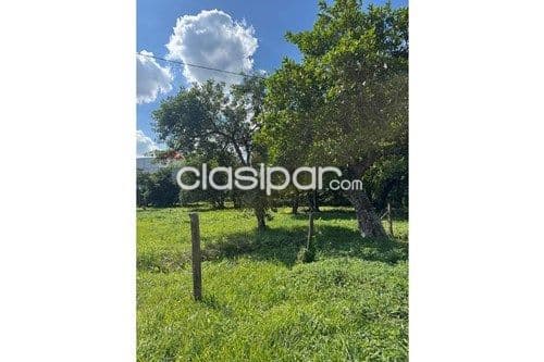 Terreno en Venta en Central Ypané