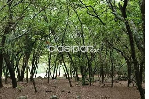 Terreno en Venta en Central Ypacaraí — foto 2