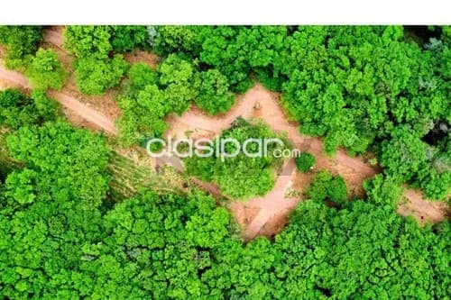 Terreno en Venta en Central Ypacaraí, foto 5