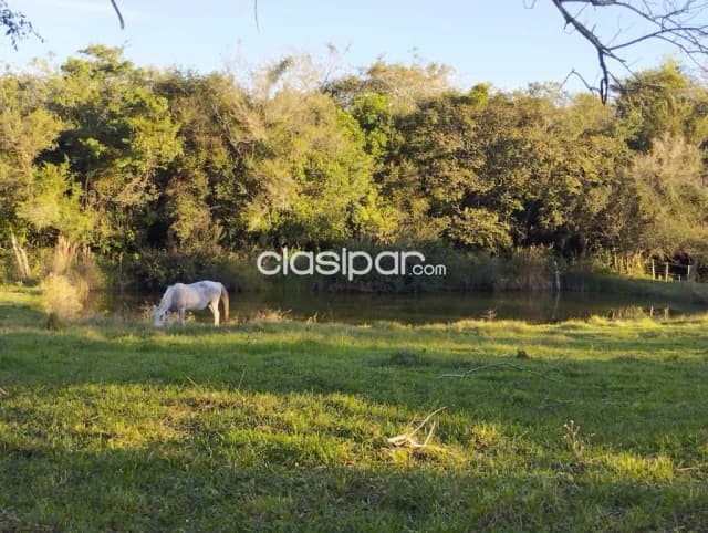 Espectacular Campo Agroganadero de 65 Has en Isla Pucú, Cordillera-¡Listo para Transferir!, foto 5