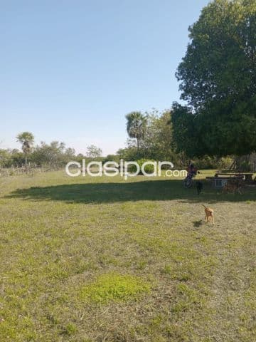 En venta 12 hectáreas en Villa Hayes, foto 1
