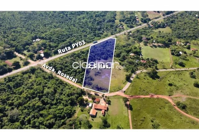 Terreno de 2.5 hectareas en arroyos t esteros — foto 4
