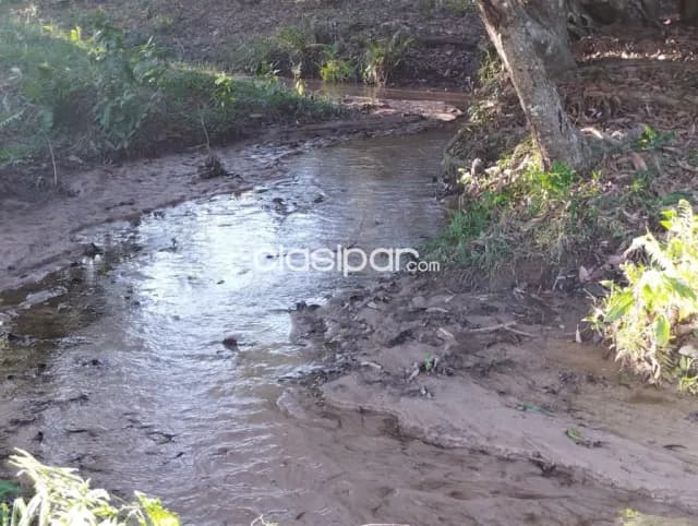 Espectacular Campo Agroganadero de 65 Has en Isla Pucú, Cordillera–¡Listo para Transferir! — foto 4