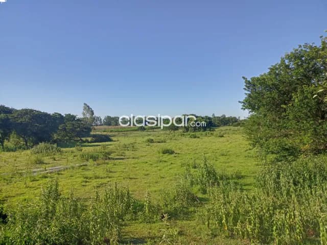 ✨ en venta – terreno de 2 hectáreas en nueva italia ✨ — foto 2
