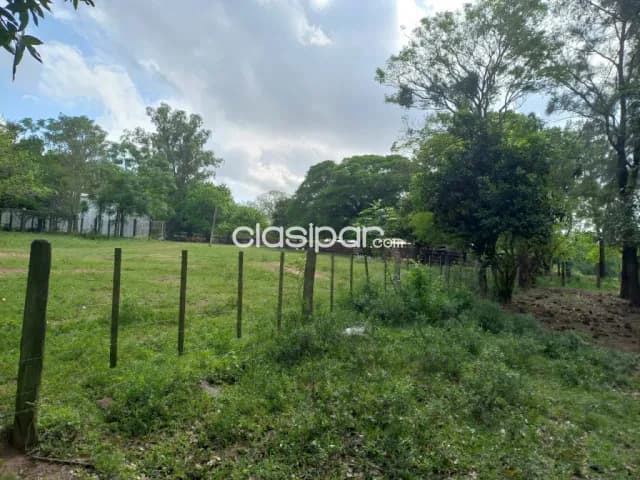 Departamento de san pedro-distrito de union 7.800 hectáreas con 3000 cabezas de ganados, foto 4