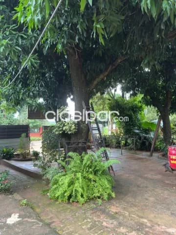 Terreno sobre asfalto aldana cañada capiata, foto 4
