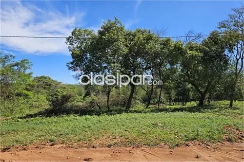 Terreno en Venta en Central Luque — foto 4