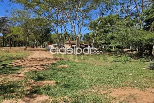 Terreno en Venta en Central Luque — foto 5