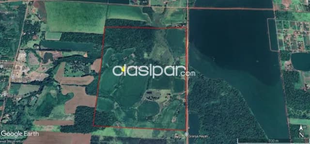 Minga guazú, alto paraná: 108 has vendo, s/ ruta, inversión del momento! 30.000 usd/ha, foto 2