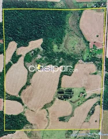 Minga guazú, alto paraná: 108 has vendo, s/ ruta, inversión del momento! 30.000 usd/ha, foto 4