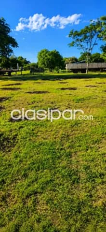 🌳✨ ¡vendo amplio terreno en limpio! ✨🌳 — foto 3