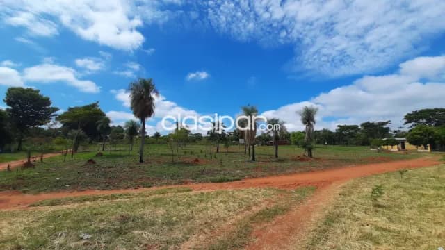 Ypané paso de oro - vendo lotes — foto 5