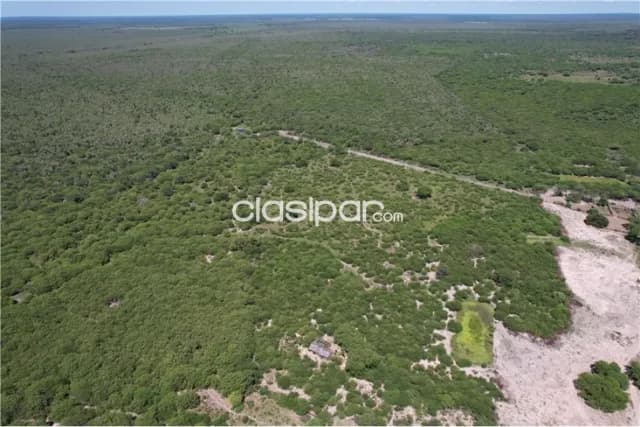 Campo 3.749 Has. 7800 m2- Pte. Hayes Ruta Ñ — foto 2