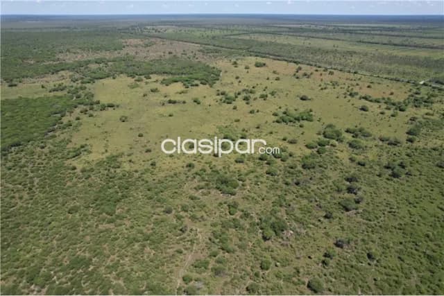 Campo 3.749 Has. 7800 m2- Pte. Hayes Ruta Ñ — foto 4