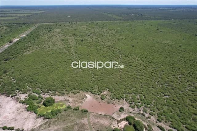 Campo 3.749 Has. 7800 m2- Pte. Hayes Ruta Ñ — foto 5