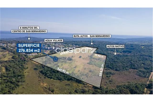 En venta propiedad de 27 hectáreas en altos, foto 3