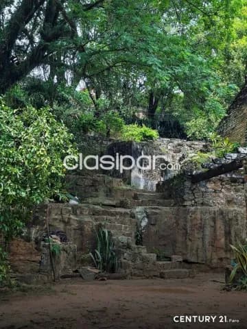 Amplio terreno en caacupe, a pocas cuadras de la basílica, foto 5