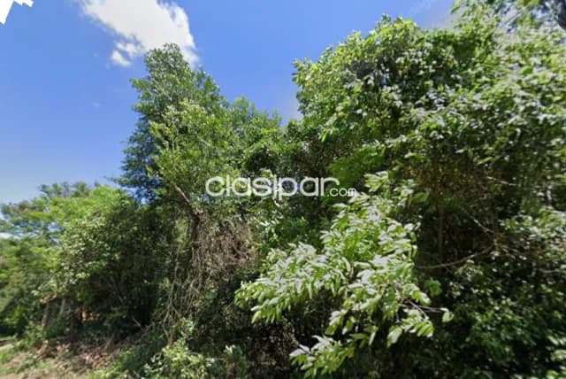 Tu Refugio en Altos con Bosque Nativo | 360 m² | G. 70 Millones — foto 4