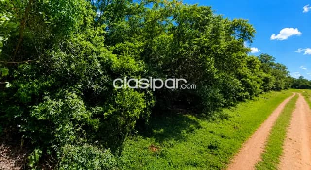 Tu Refugio en Altos con Bosque Nativo | 360 m² | G. 70 Millones — foto 5