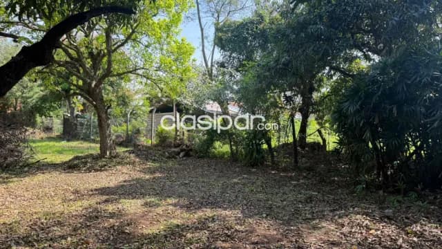 TERRENO EN Luque (Entrada al Barrio Palma Loma), foto 2