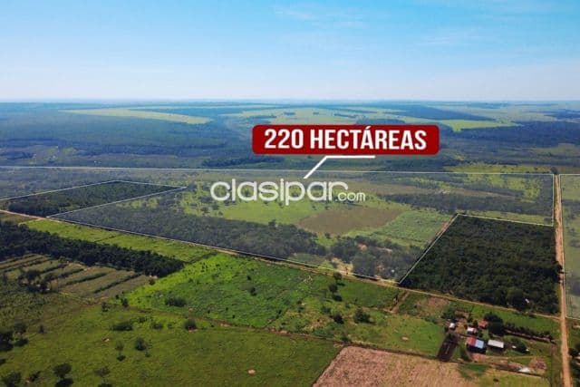 Estancia San Alfredo 220 Hectáreas en Punta Suerte, Santaní — foto principal