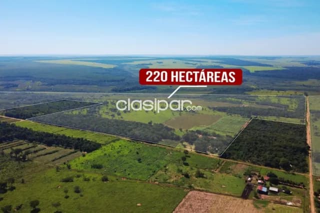 Estancia San Alfredo 220 Hectáreas en Punta Suerte, Santaní — foto 2