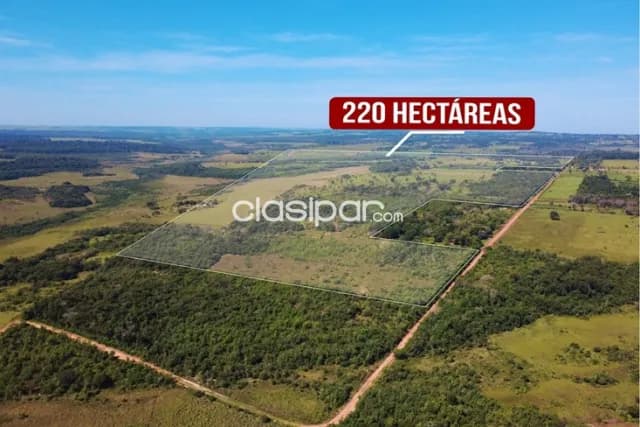 Estancia San Alfredo 220 Hectáreas en Punta Suerte, Santaní — foto 3