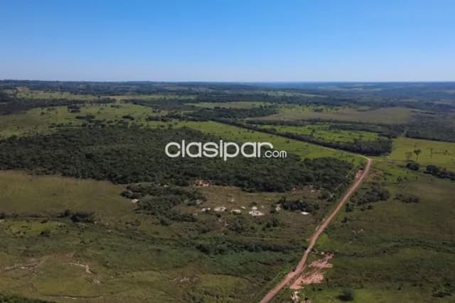 Estancia San Alfredo 220 Hectáreas en Punta Suerte, Santaní — foto 4