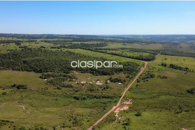 Estancia San Alfredo 220 Hectáreas en Punta Suerte, Santaní — foto 5