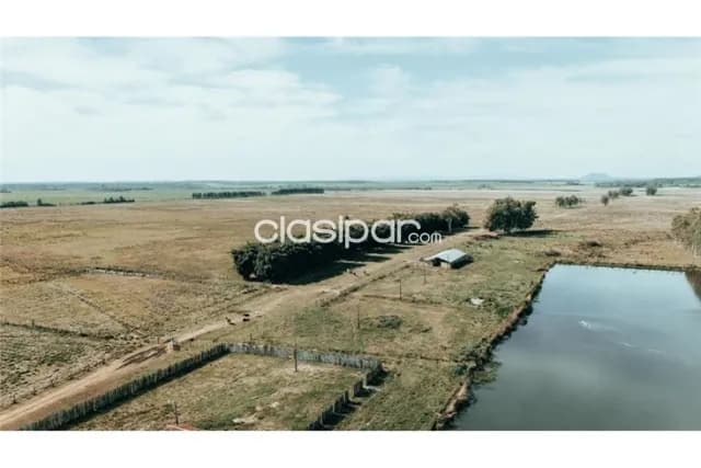 Gran campo desarrollado de 391,42 hectáreas en Ybytymí, foto 3