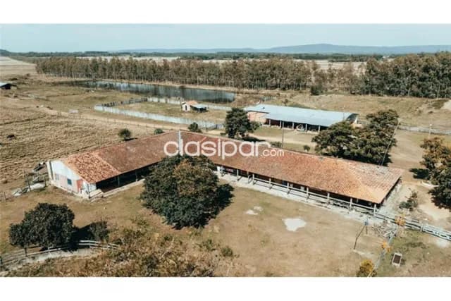 Gran campo desarrollado de 391,42 hectáreas en Ybytymí, foto 4