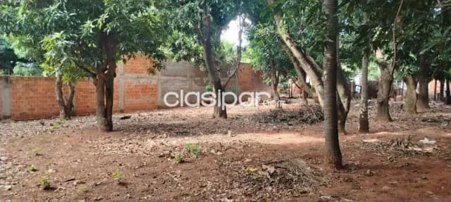 Terreno 15 X 28 zona marin kaaguy - Luque titulado 150 millones — foto 2